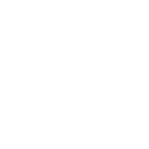 Choice icon