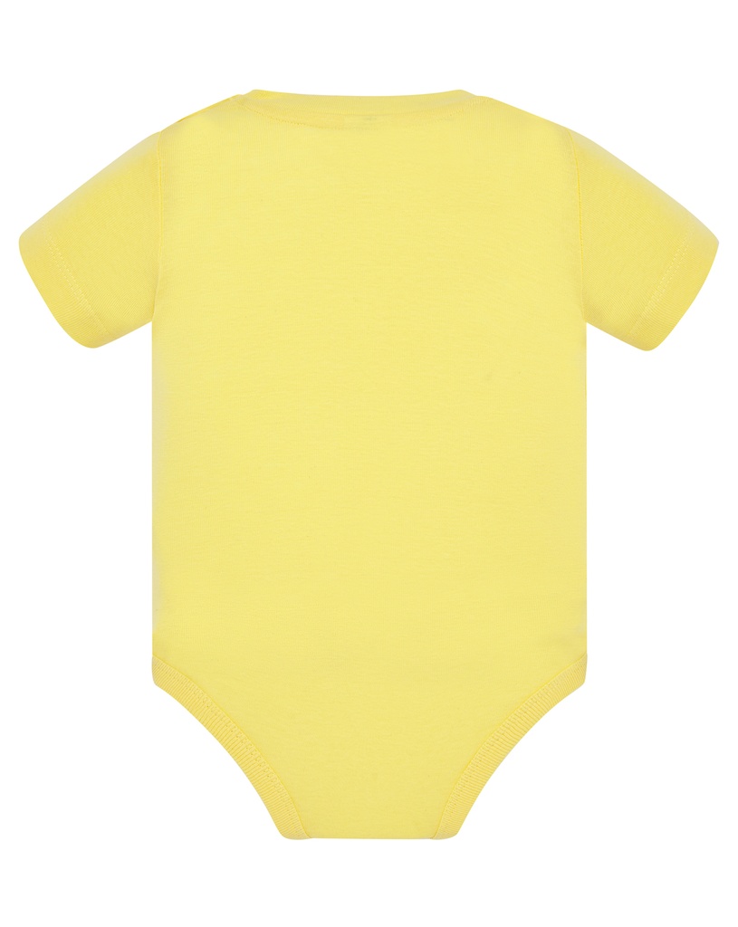 TSRBBODY - 3